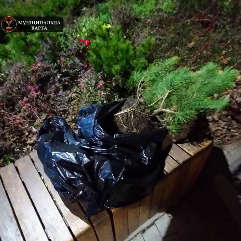 У Києві затримали злодійок із незвичайним "уловом": фото крадіжки